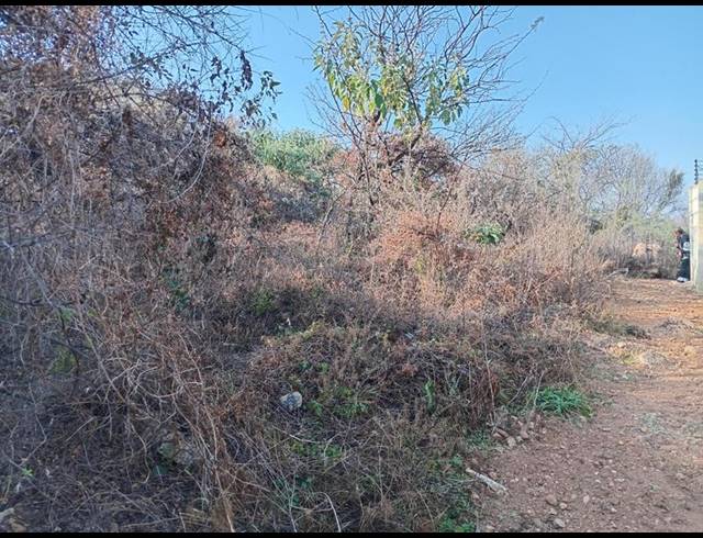 LAND FOR SALE IN VAALOEWER